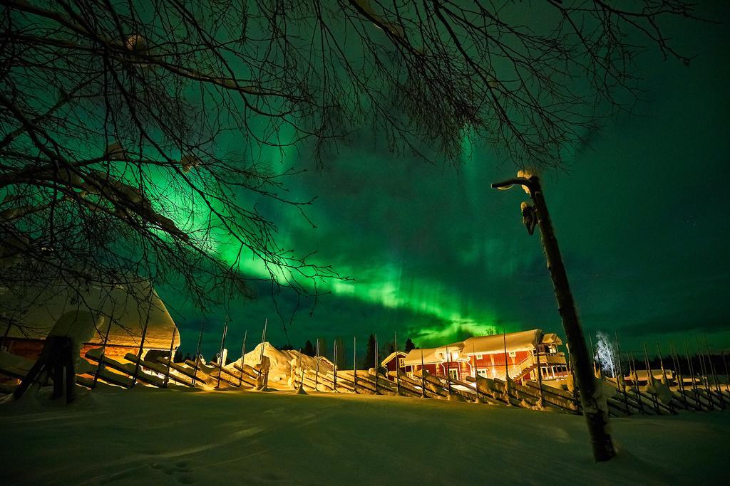 Lapland Guesthouse Kangos Екстериор снимка