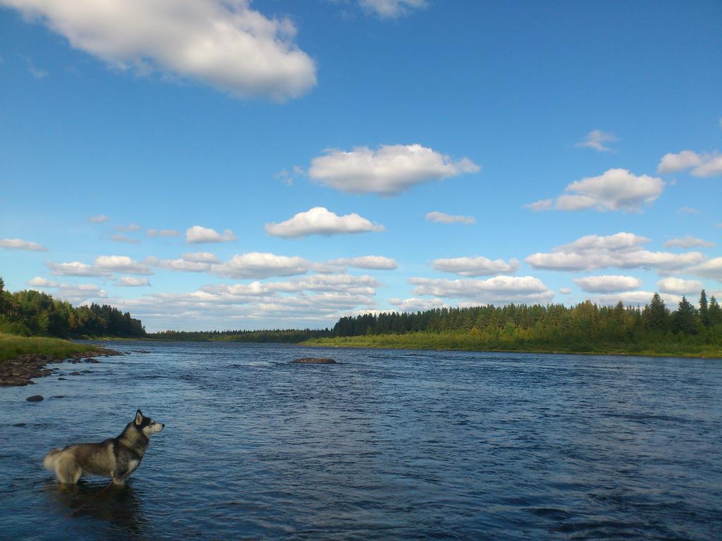 Lapland Guesthouse Kangos Екстериор снимка